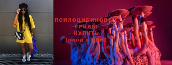 бошки Горнозаводск