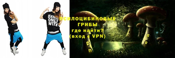бошки Горнозаводск