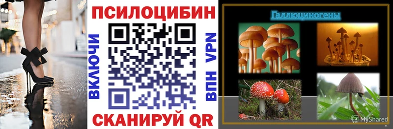 МЕГА зеркало Меленки Псилоцибиновые грибы мицелий